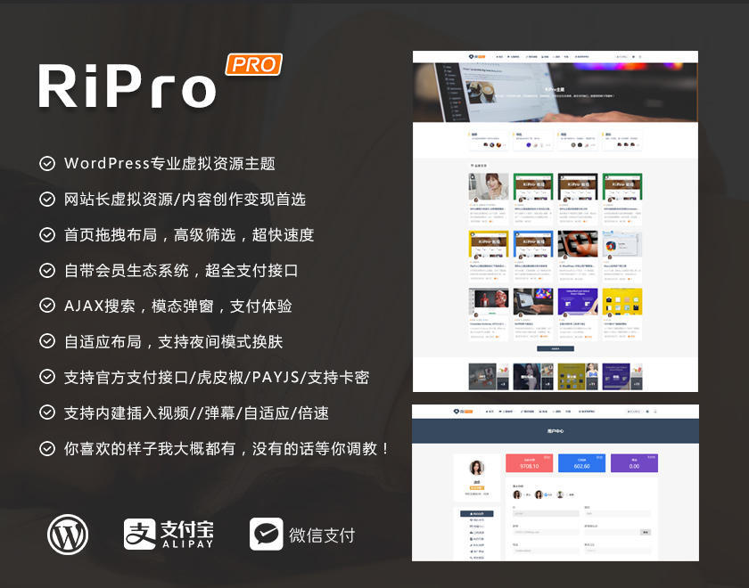 RiPro 7.0破解版