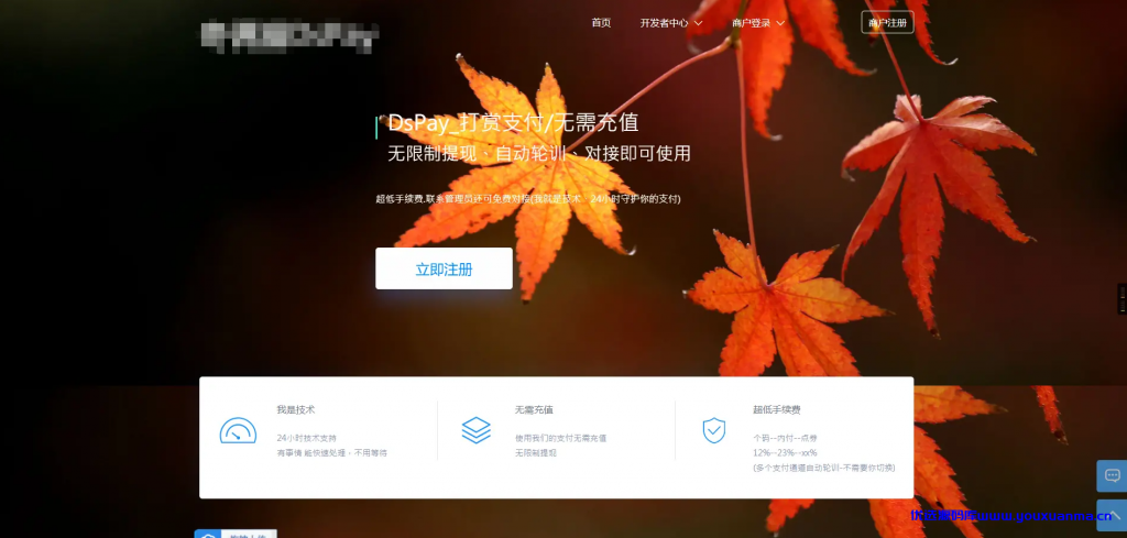 【优选源码】 个码免签支付APP+聚合支付后台源码