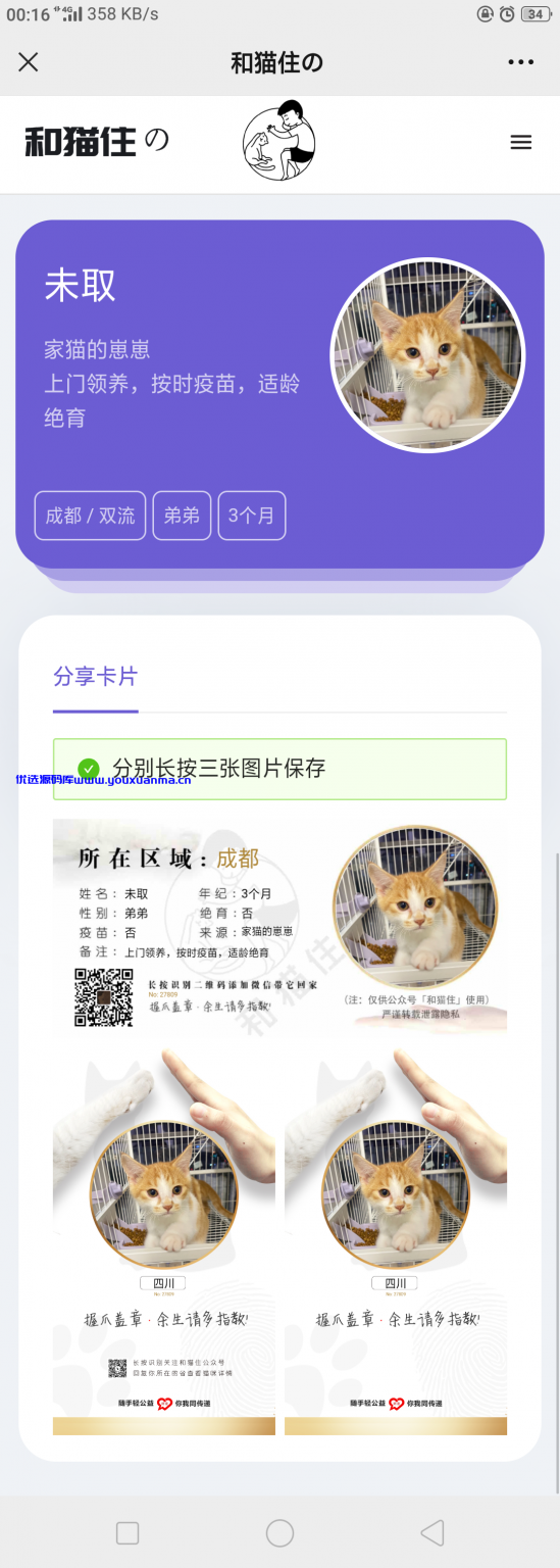 【优选源码】流浪猫流浪狗H5源码下载带演示