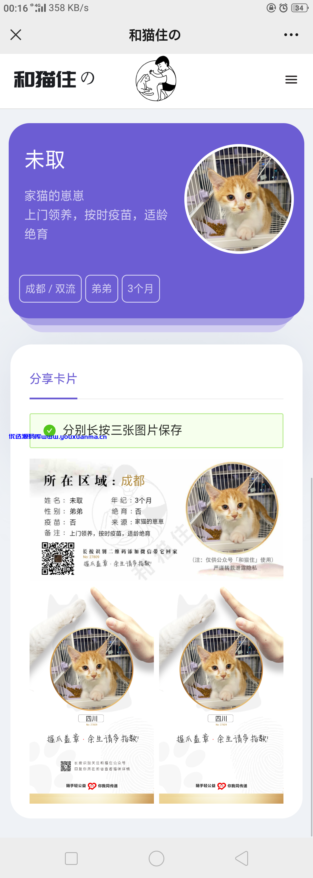 【优选源码】流浪猫流浪狗H5源码下载带演示