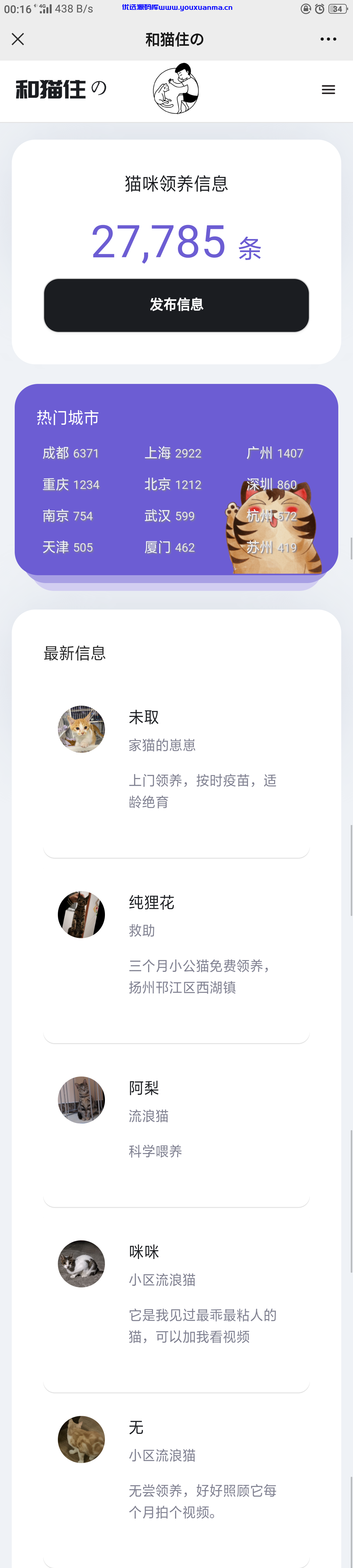 【优选源码】流浪猫流浪狗H5源码下载带演示