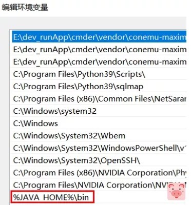 【优选教程】jdk11配置(java环境)