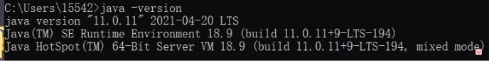 【优选教程】jdk11配置(java环境)