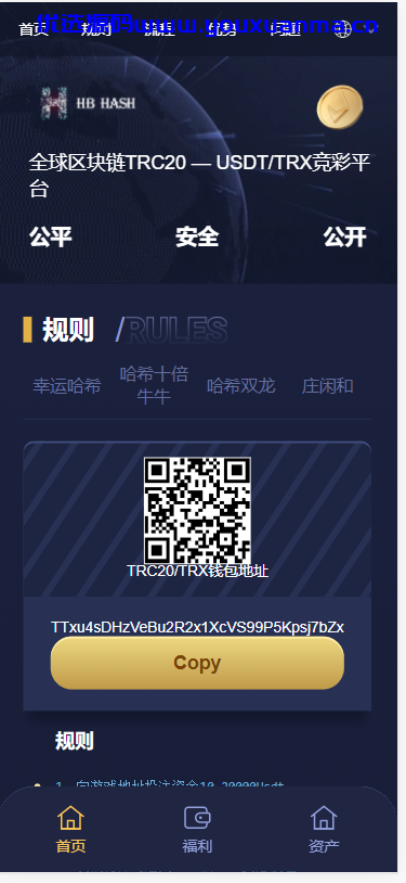 【优选源码】哈希竞猜源码四种玩法