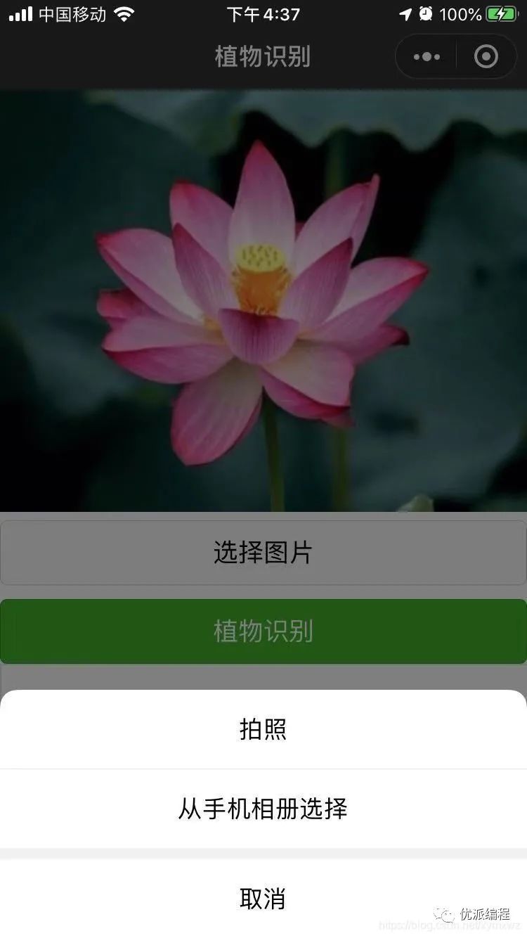 【优选源码】慧眼识花草小程序源码-支持自动查找识别与这款植物匹配的名称