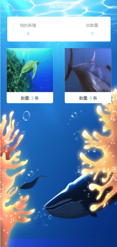 【优选源码】海洋乐园USDT理财投资源码/虚拟币静态收益