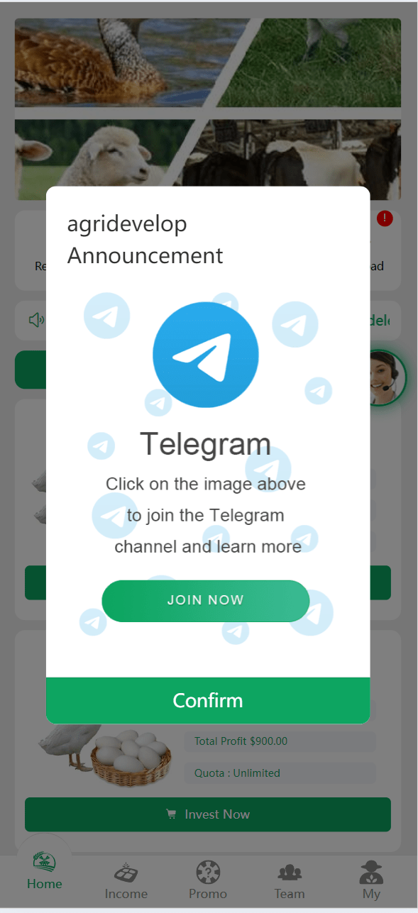 【优选源码】最新海外农场养殖共享投资理财源码/udst充值