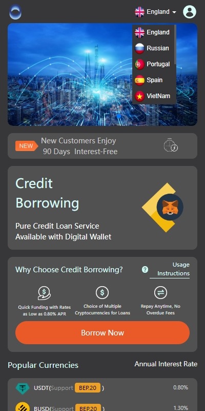 【优选代售】多语言借币系统/借币贷款/套路贷款/usdt贷款源码