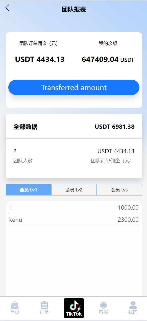 【优选代售】新版多语言TikTok商城抢单刷单系统