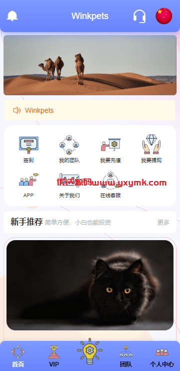 【优选代售】海外宠物投资理财系统/多语言投资源码/前端VUE