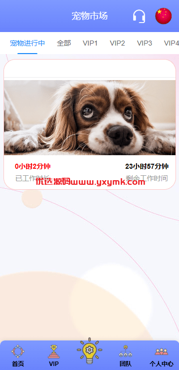 【优选代售】海外宠物投资理财系统/多语言投资源码/前端VUE