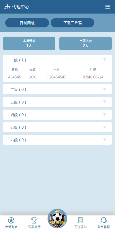 【优选代售】PC自适应反波胆系统/球盘源码/多级分销/充值返点