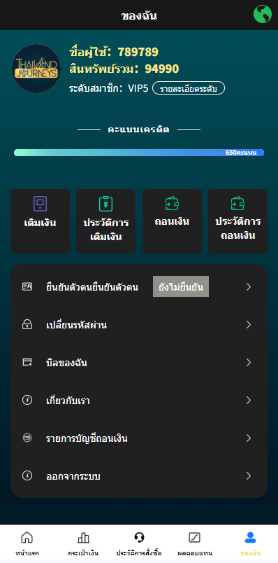 【优选代售】海外微盘系统/多语言虚拟币微交易/伪交易所/实名认证