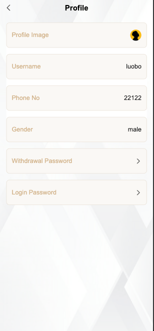 【优选代售】最新多语言奢侈品刷单/抢单系统/订单自动匹配系统/连单卡单/海外源码
