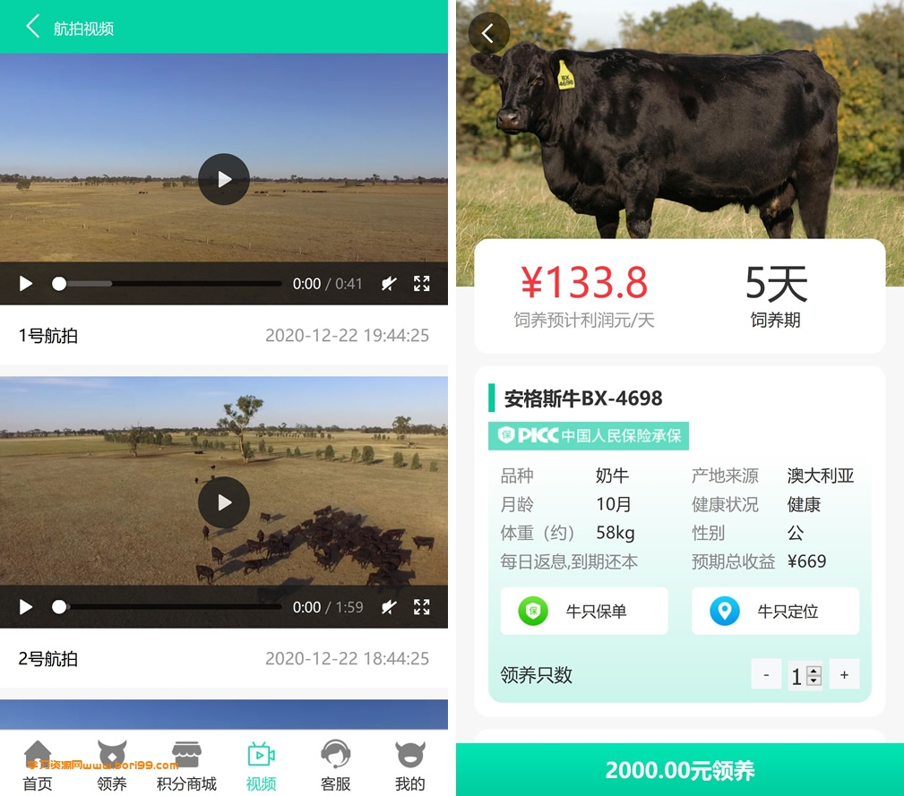 2021牧场养牛游戏挖矿理财源码,积分商城,抽奖,会员特权