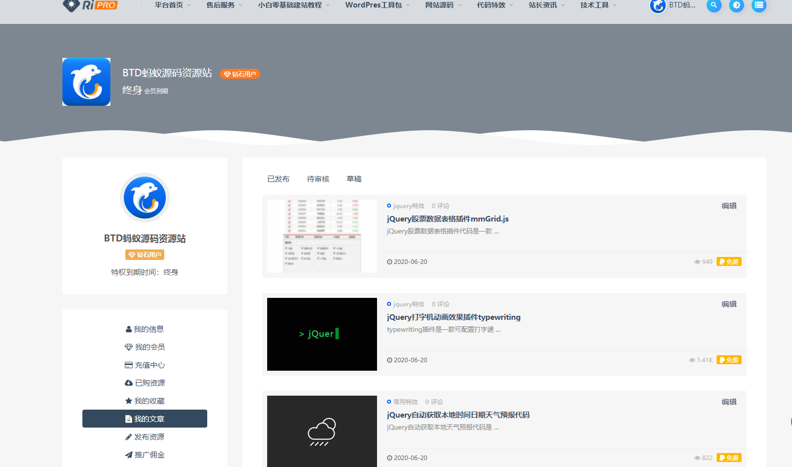 ripro8.7主题最新破解版