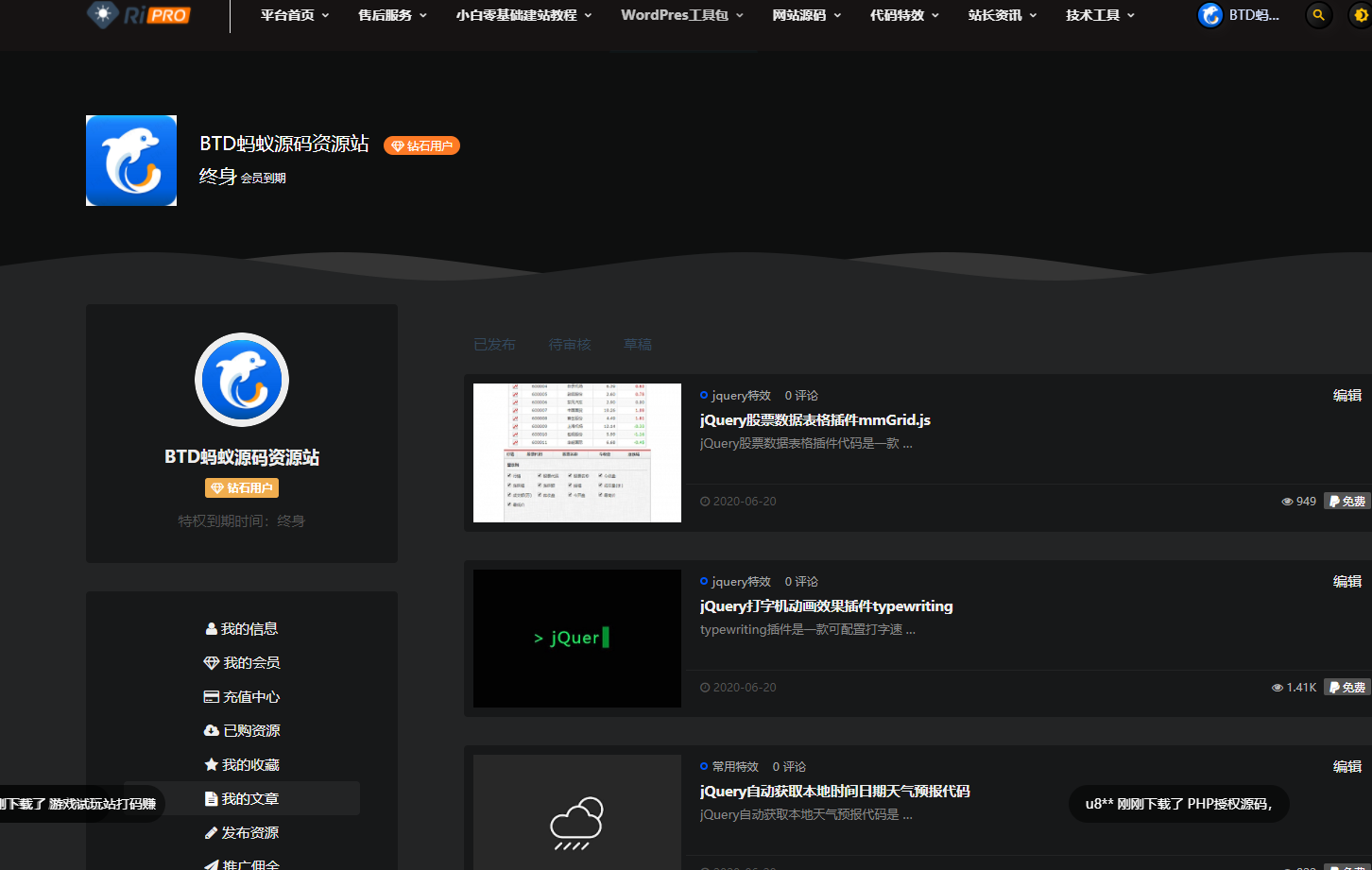 ripro8.7主题最新破解版
